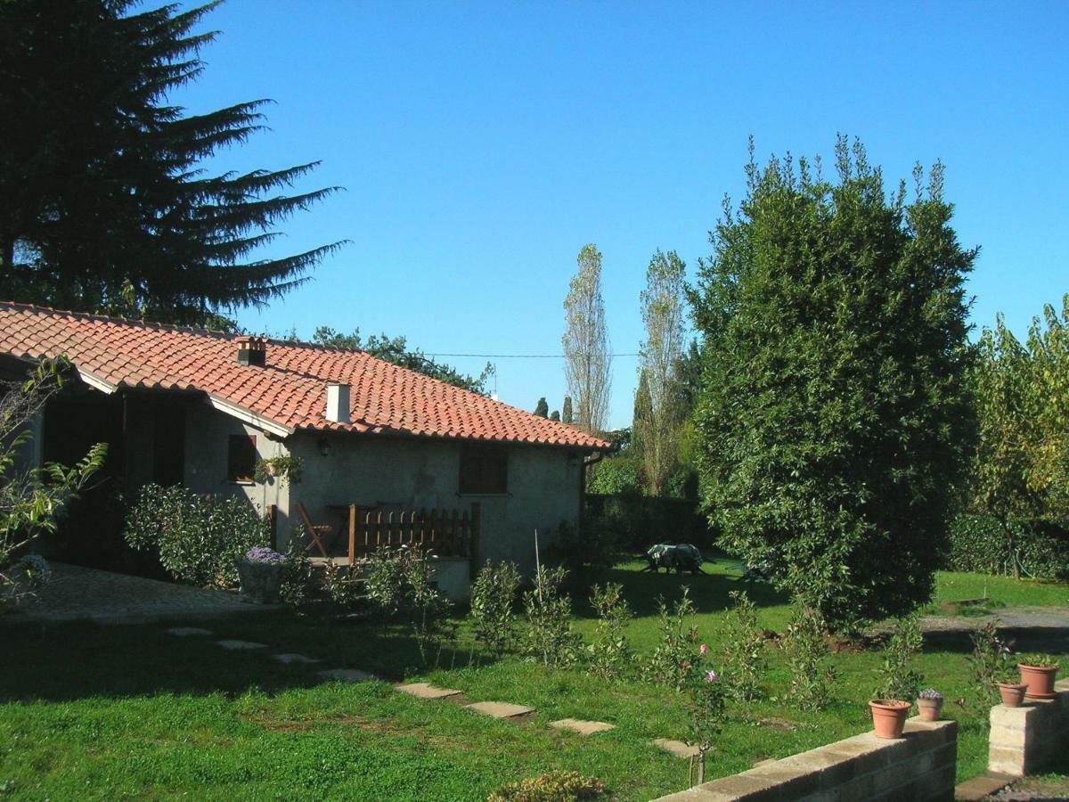 Olive Tree Hill Bed & Breakfast Zagarolo Exterior photo